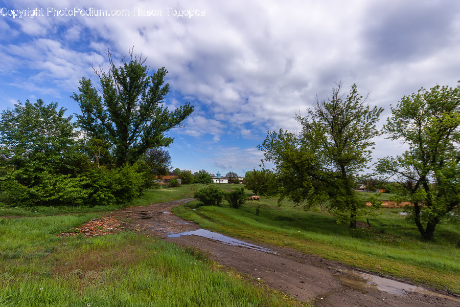Nature, Road, Outdoors, Dirt Road, Gravel