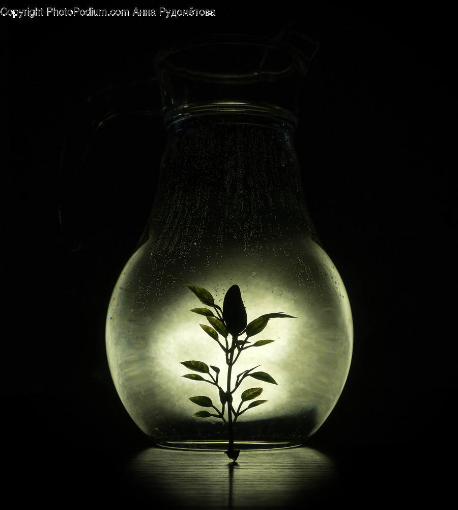 Light, Lightbulb