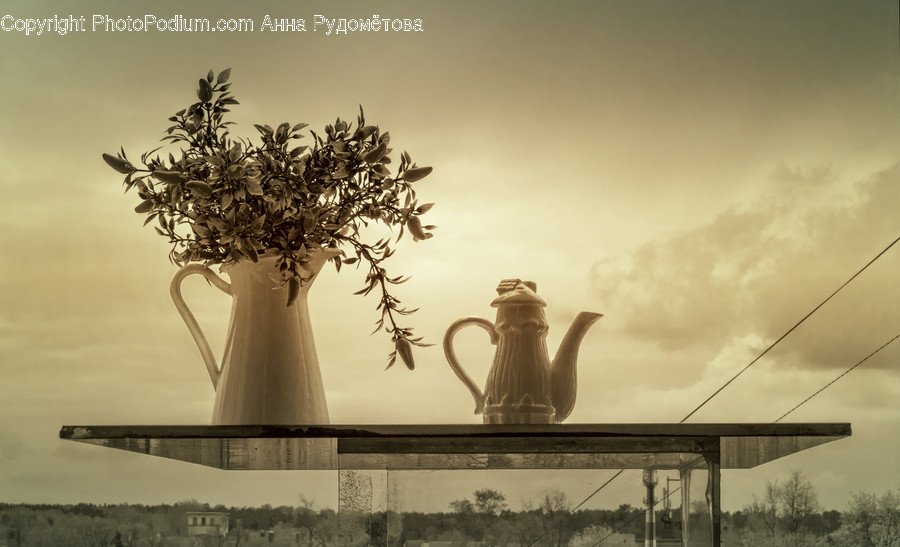 Pottery, Jug, Teapot, Pot, Plant