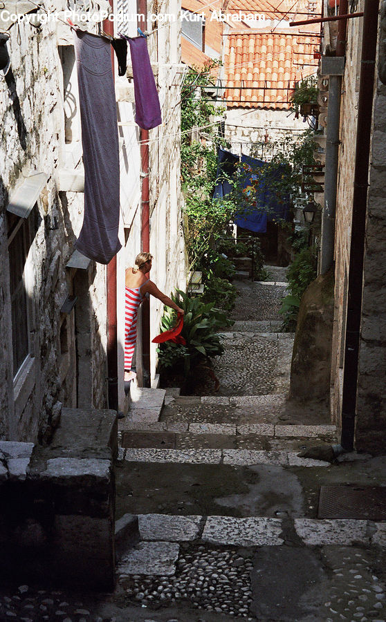 Plant, Potted Plant, Alley, Alleyway, Road, Street, Town