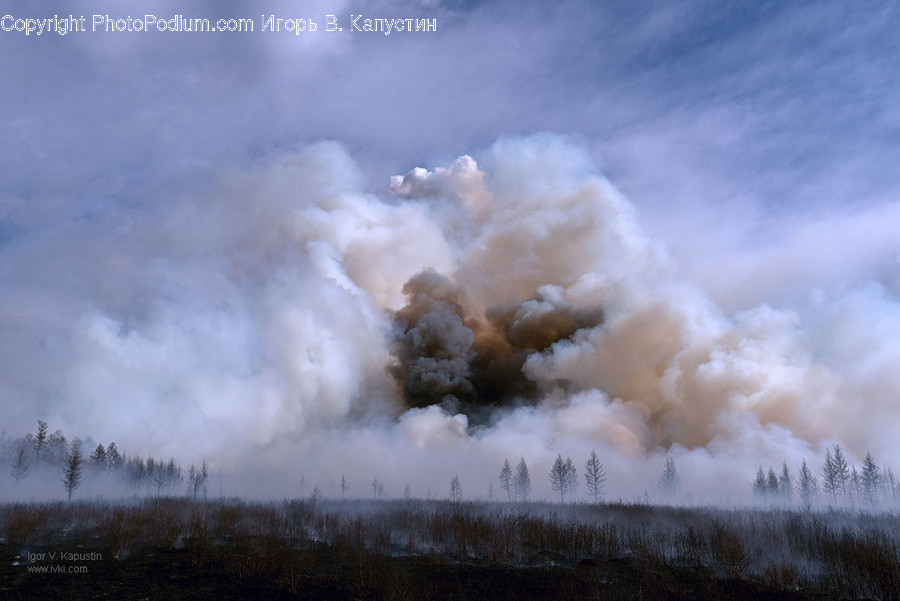 Nature, Weather, Smoke, Outdoors, Plant