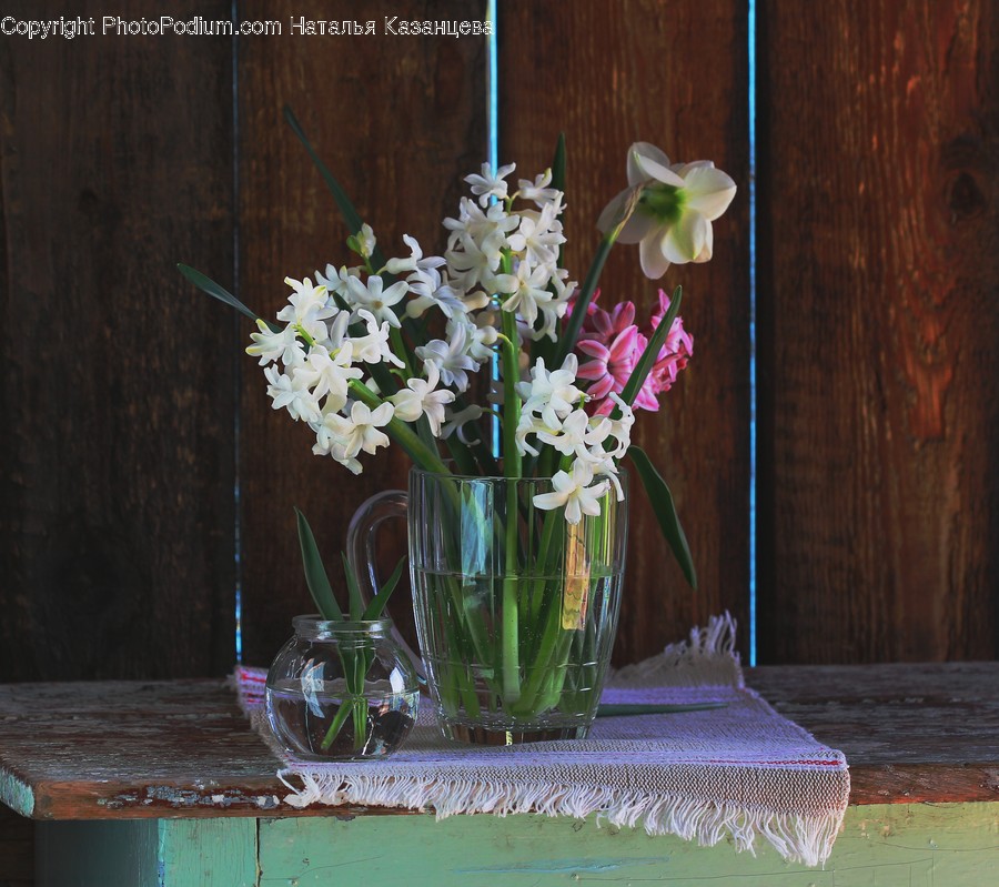 Plant, Blossom, Flower, Flower Arrangement, Ornament