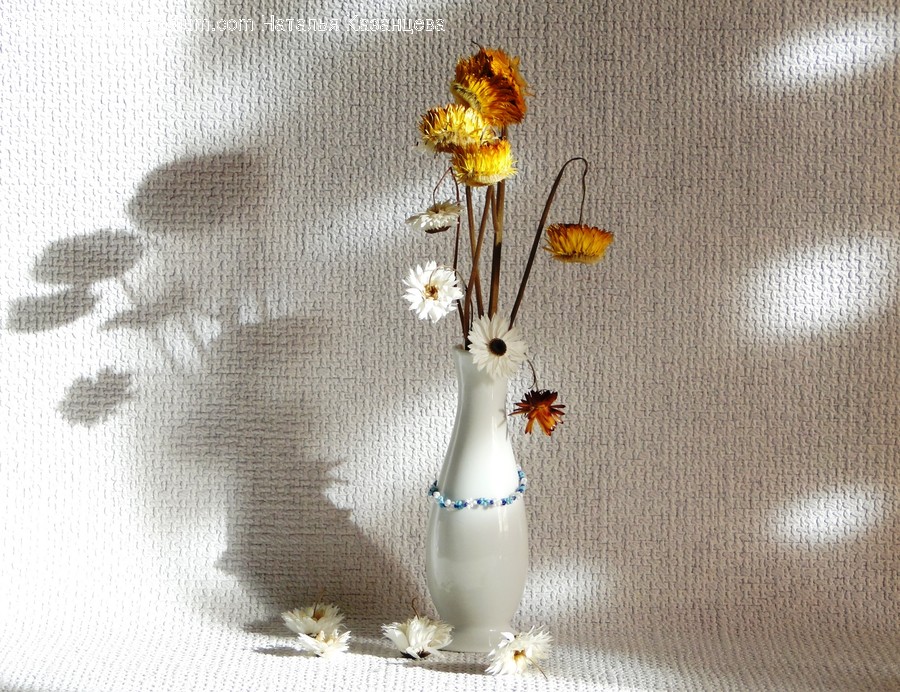 Jar, Pottery, Vase, Ikebana, Blossom