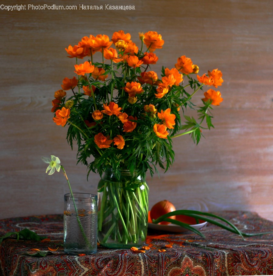 Plant, Blossom, Flower, Flower Arrangement, Flower Bouquet