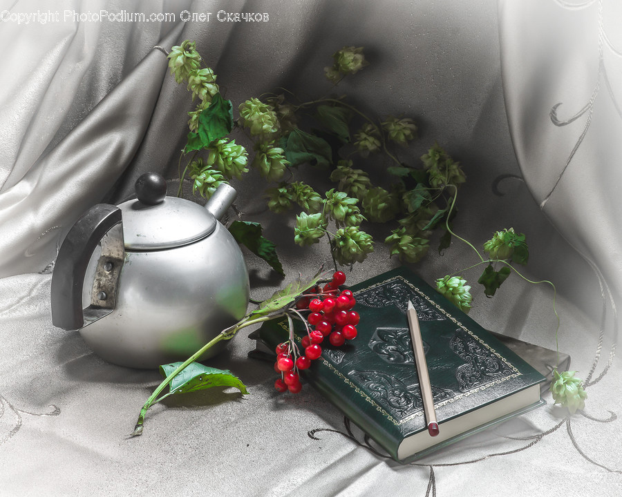 Plant, Pottery, Potted Plant, Vase, Jar