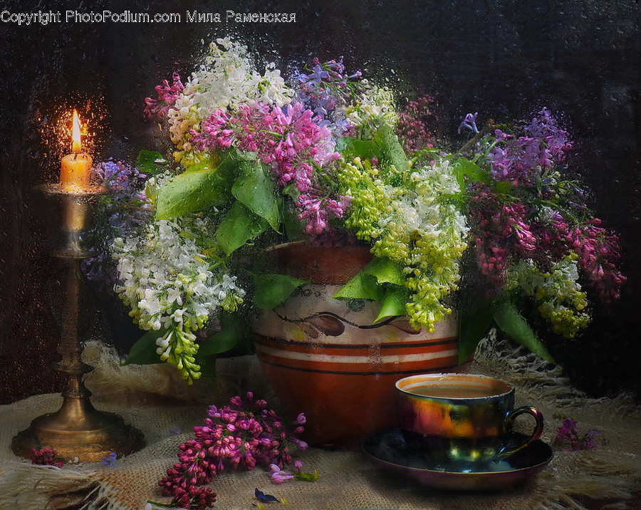 Plant, Art, Painting, Blossom, Flower