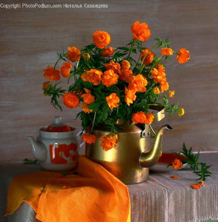 Plant, Flower, Blossom, Flower Arrangement, Flower Bouquet