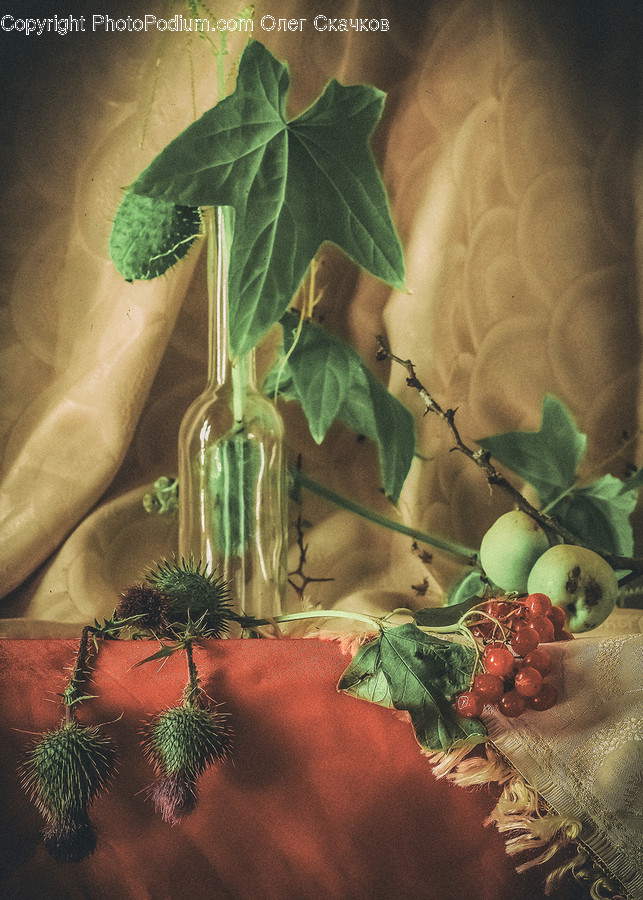 Plant, Food, Leaf, Fruit, Seasoning