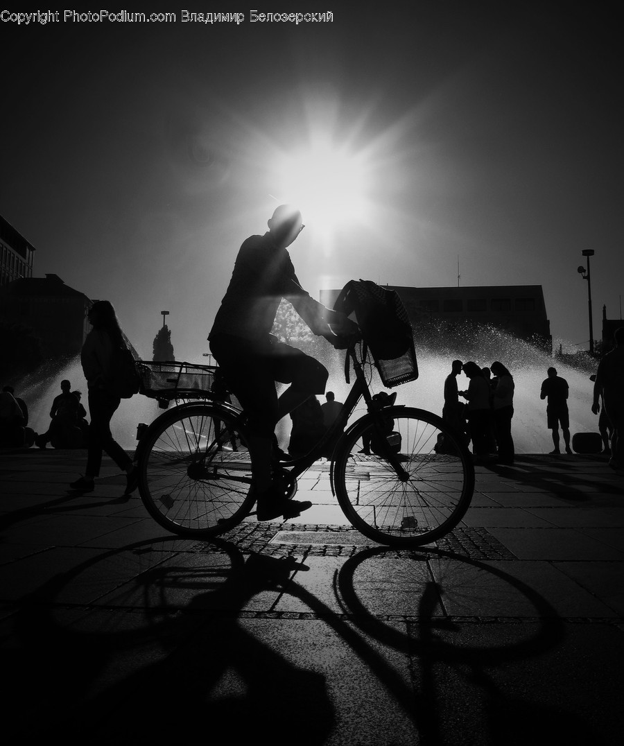 Vehicle, Bicycle, Transportation, Bike, Wheel