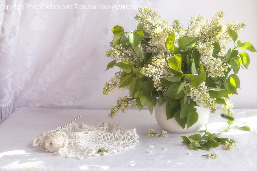 Plant, Pattern, Graphics, Art, Floral Design
