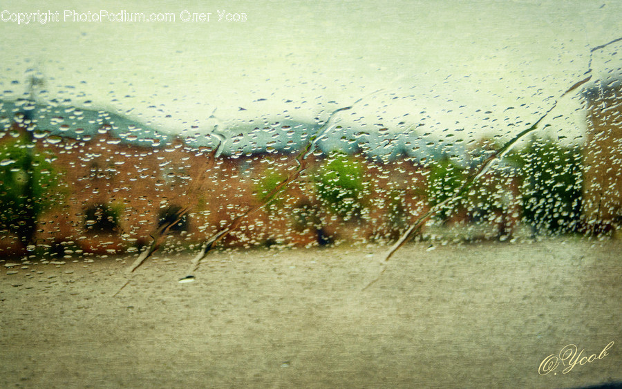 Outdoors, Nature, Grass, Plant, Land