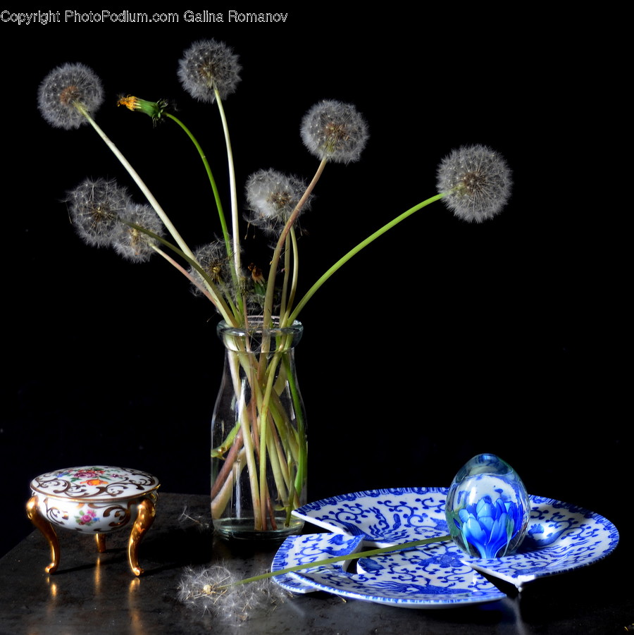Plant, Blossom, Flower, Pottery, Flower Arrangement