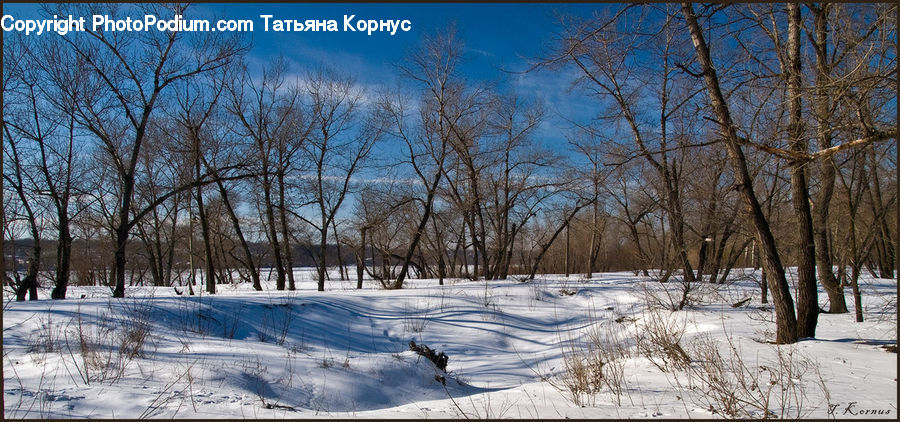 Landscape, Nature, Scenery, Ice, Outdoors, Snow, Dirt Road