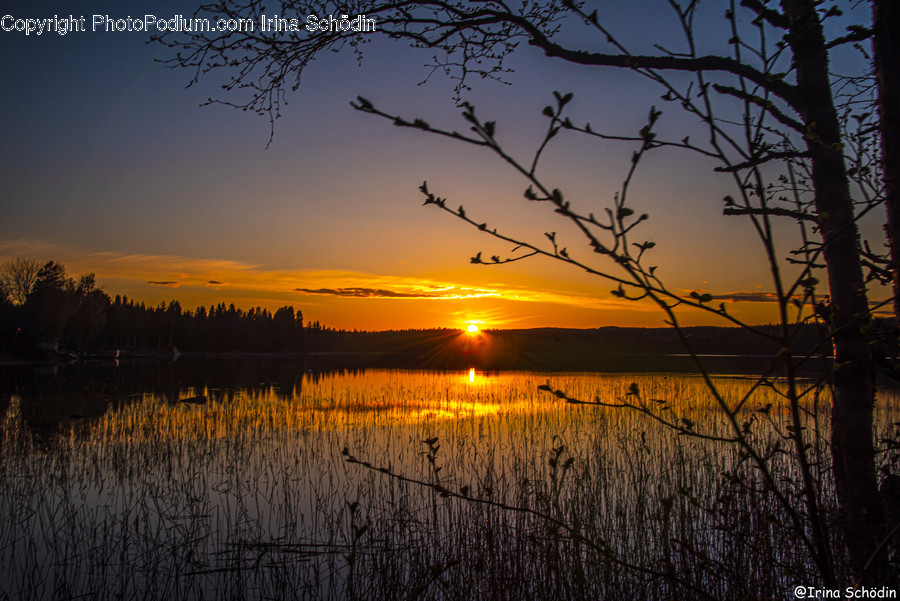 Nature, Outdoors, Dusk, Dawn, Sky