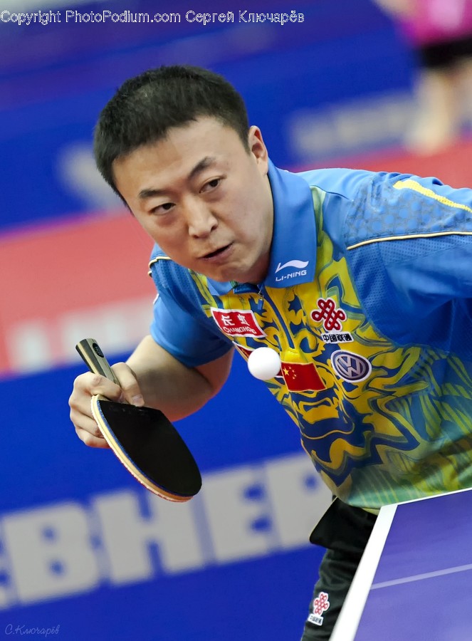 Person, Human, Sport, Sports, Ping Pong