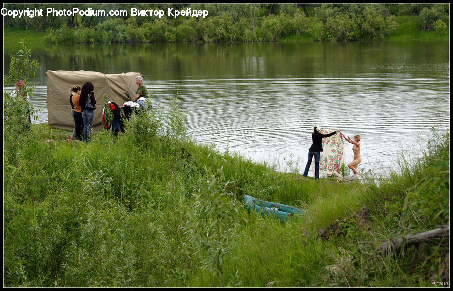 Land, Marsh, Outdoors, Swamp, Water, Pond, Leisure Activities