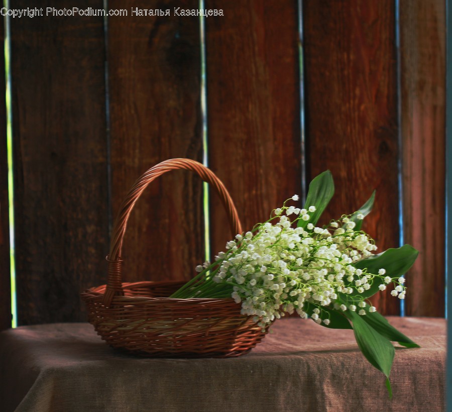 Basket, Plant, Pottery, Wood, Jar