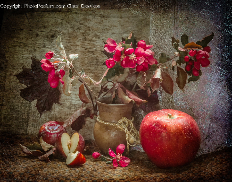 Plant, Painting, Art, Fruit, Food