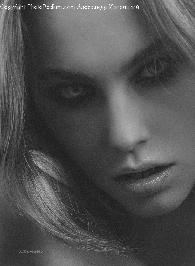 Human, Person, Face, Head, Photo