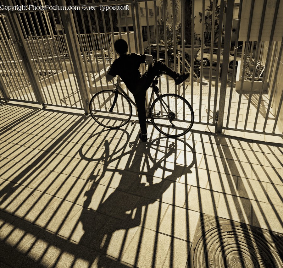 Bike, Transportation, Bicycle, Vehicle, Wheel
