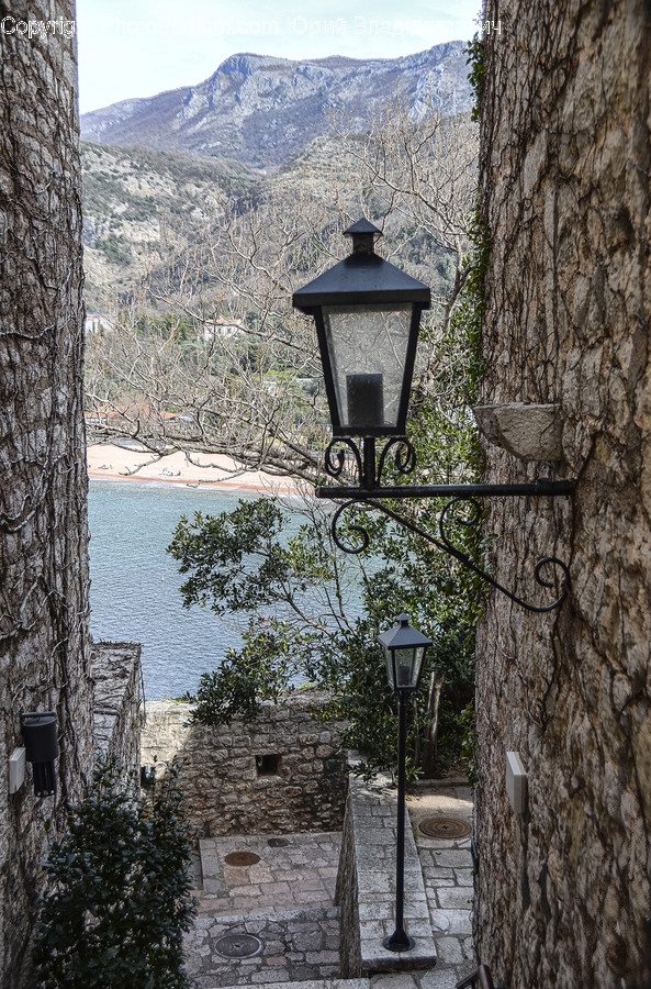 Walkway, Path, Lamp Post, Flagstone, Plant