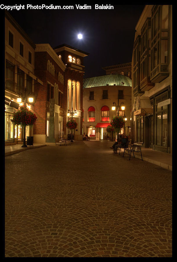 Plant, Potted Plant, Cobblestone, Pavement, Walkway, Road, Street