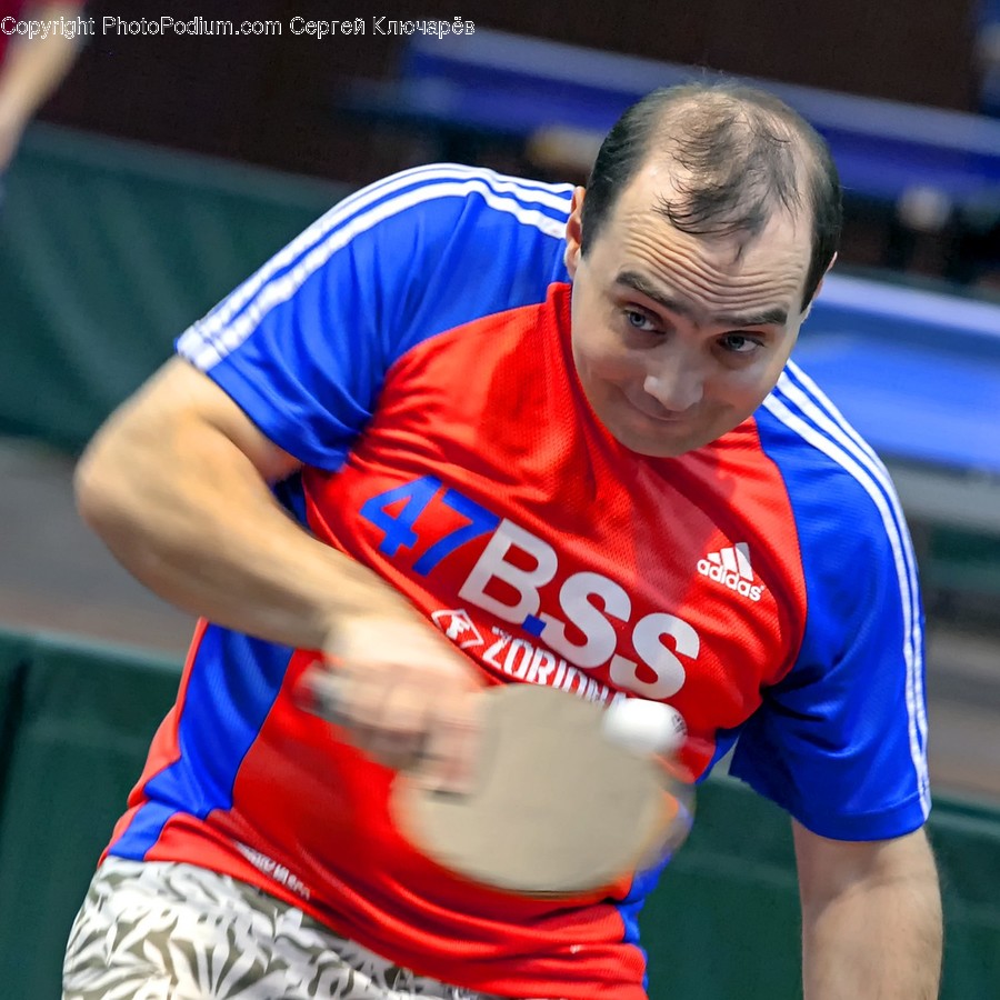 Human, Person, Sport, Sports, Ping Pong