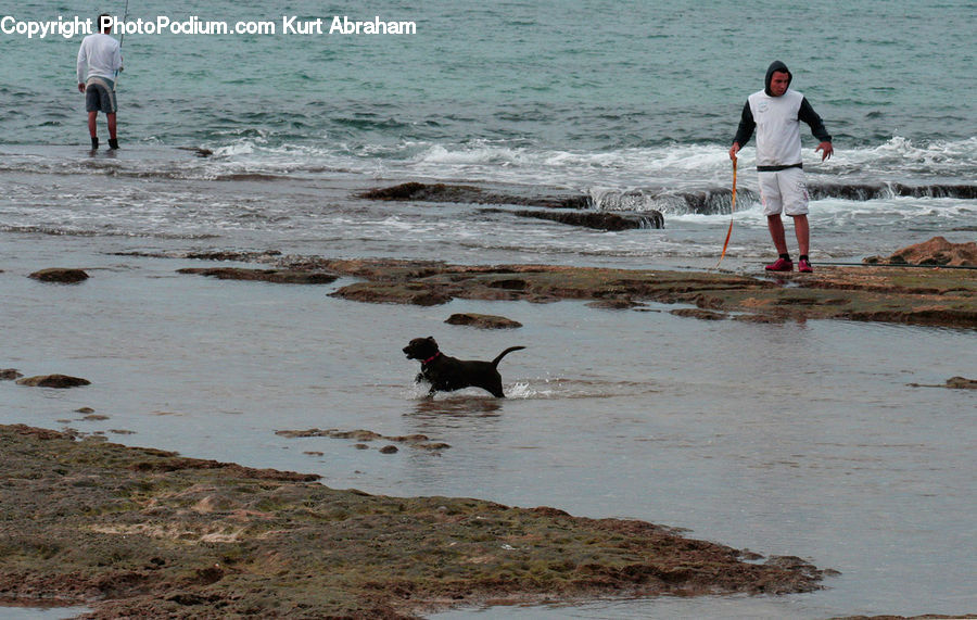 People, Person, Human, Beach, Coast, Outdoors, Sea