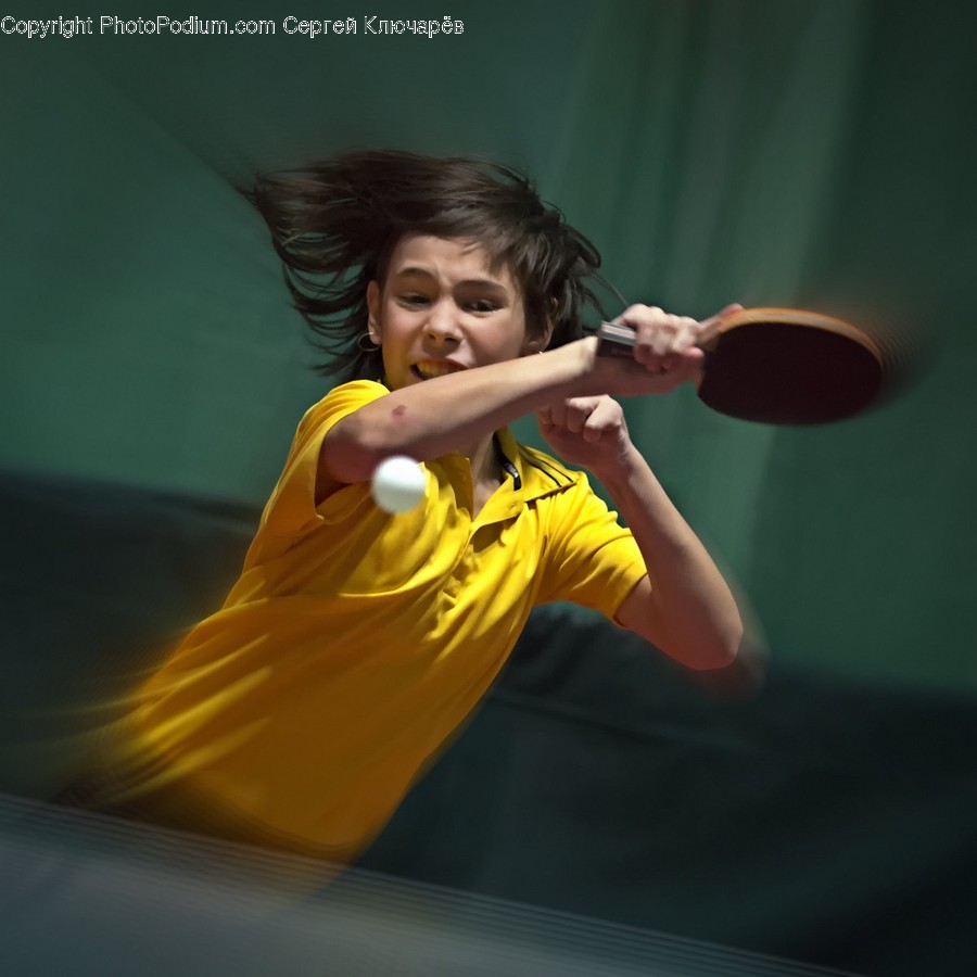 Human, Person, Sport, Sports, Ping Pong