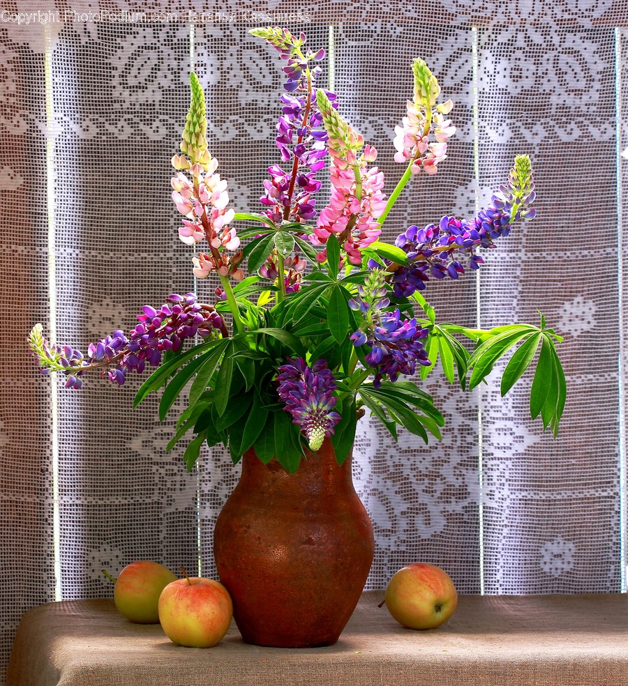 Plant, Blossom, Flower, Flower Arrangement, Art