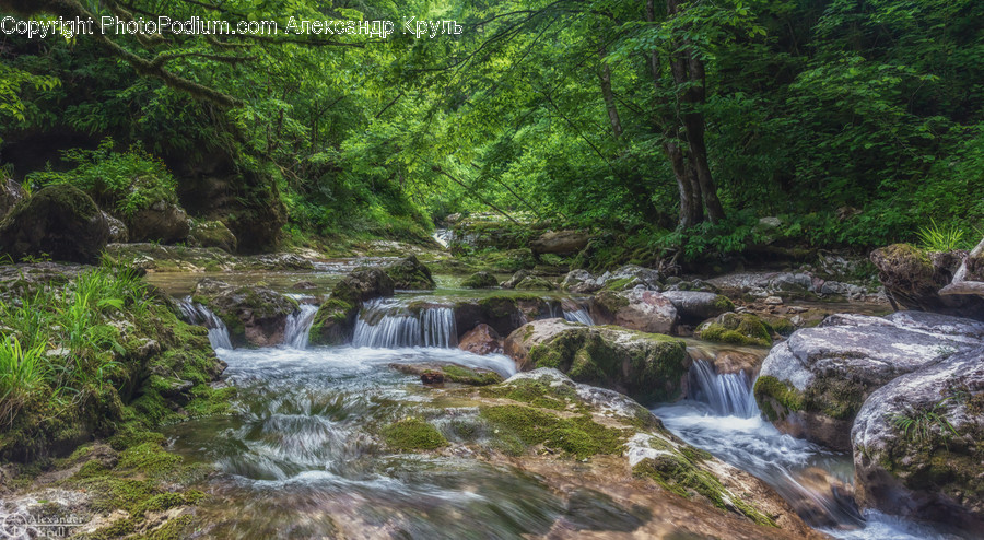 Water, Nature, Outdoors, Stream, River
