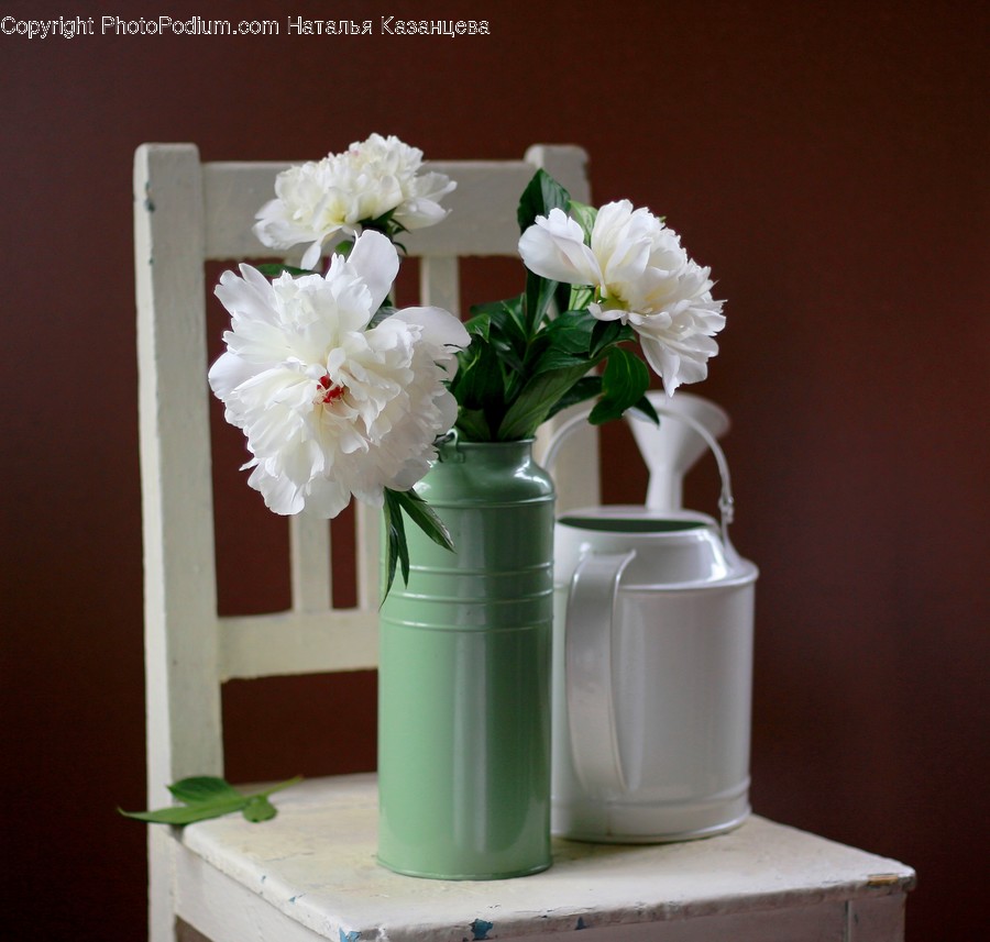 Plant, Blossom, Flower, Flower Bouquet, Flower Arrangement