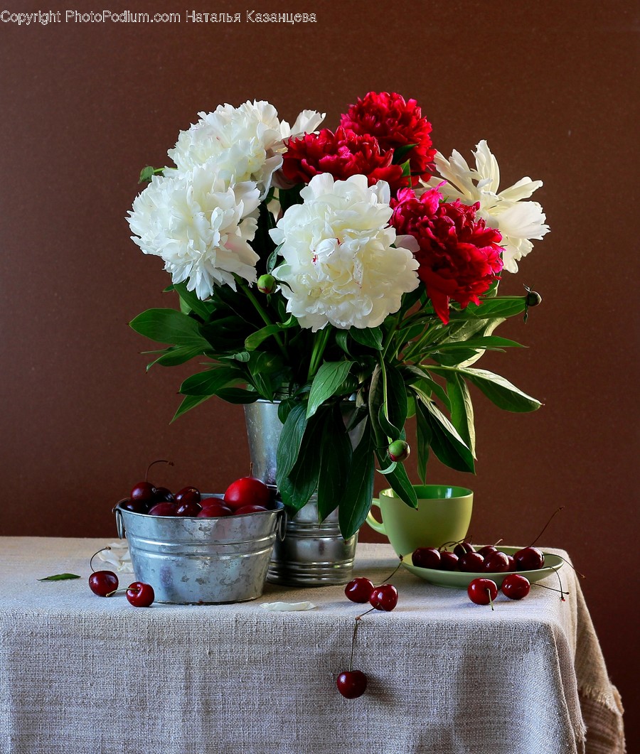 Plant, Blossom, Flower, Flower Arrangement, Flower Bouquet