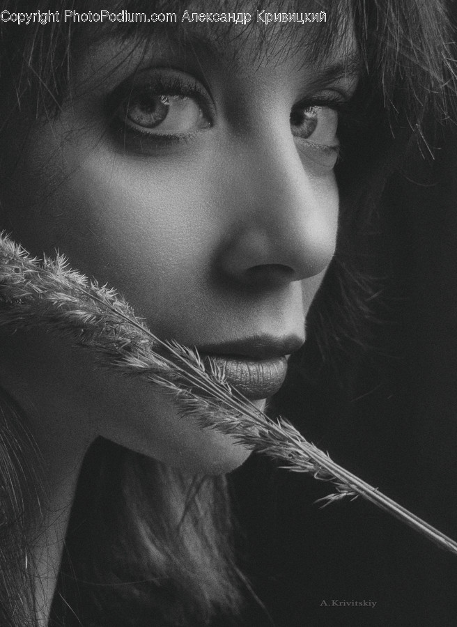 Face, Person, Human, Skin, Portrait