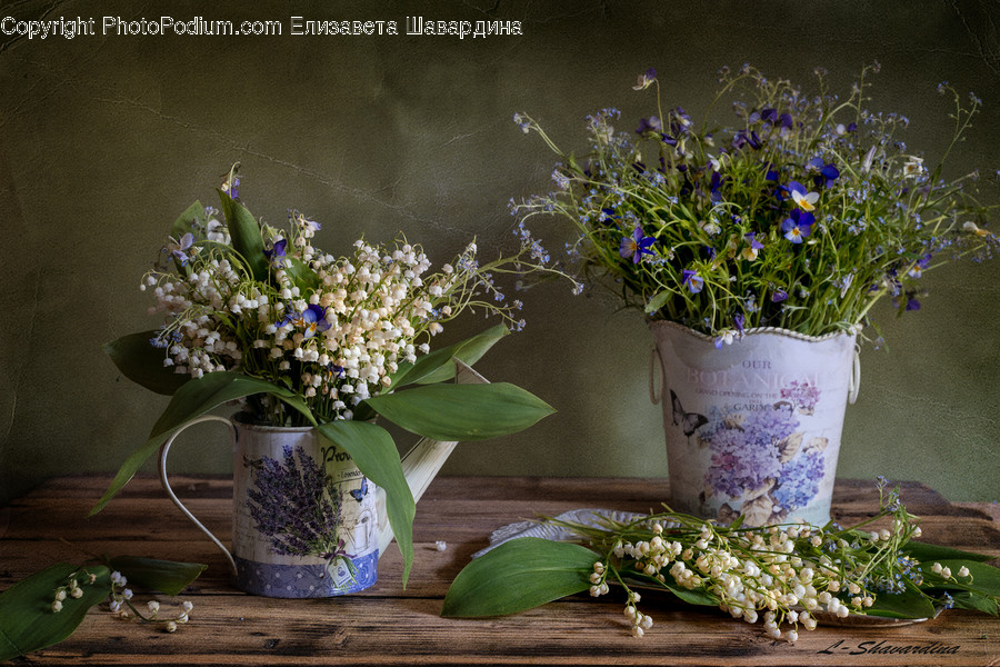 Plant, Flower, Blossom, Flower Arrangement, Flower Bouquet