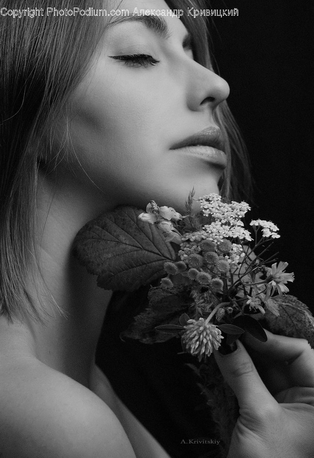 Plant, Human, Person, Blossom, Flower
