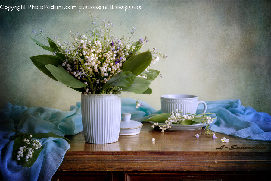 Plant, Pottery, Flower, Blossom, Flower Arrangement