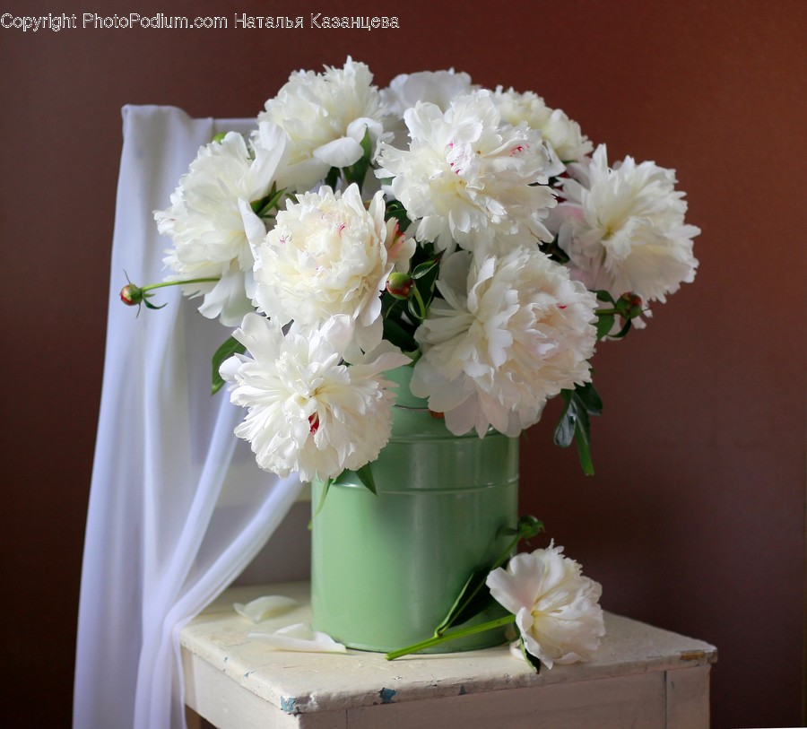 Plant, Blossom, Flower, Flower Bouquet, Flower Arrangement
