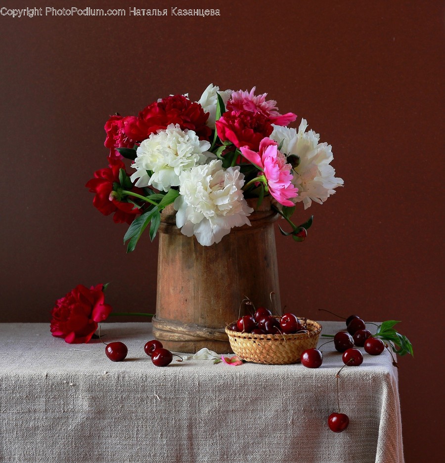 Plant, Flower, Blossom, Flower Arrangement, Flower Bouquet