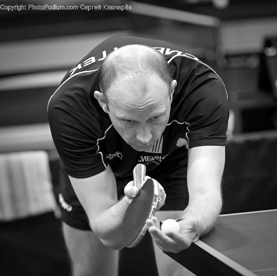 Human, Person, Sport, Sports, Ping Pong