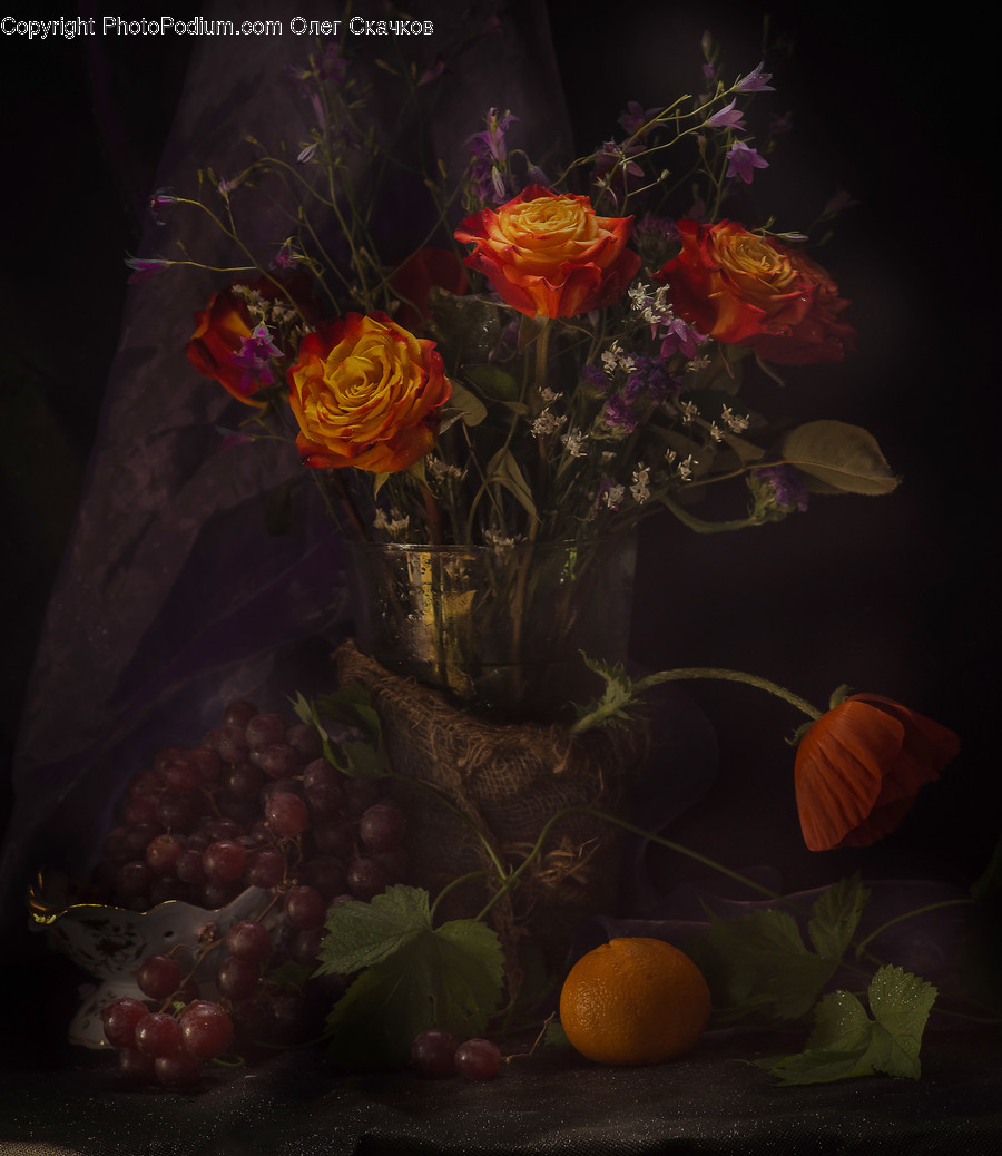 Plant, Blossom, Flower Arrangement, Flower Bouquet, Flower