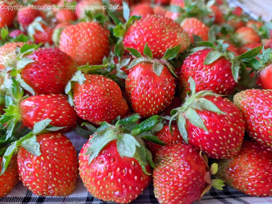 Plant, Food, Strawberry, Fruit