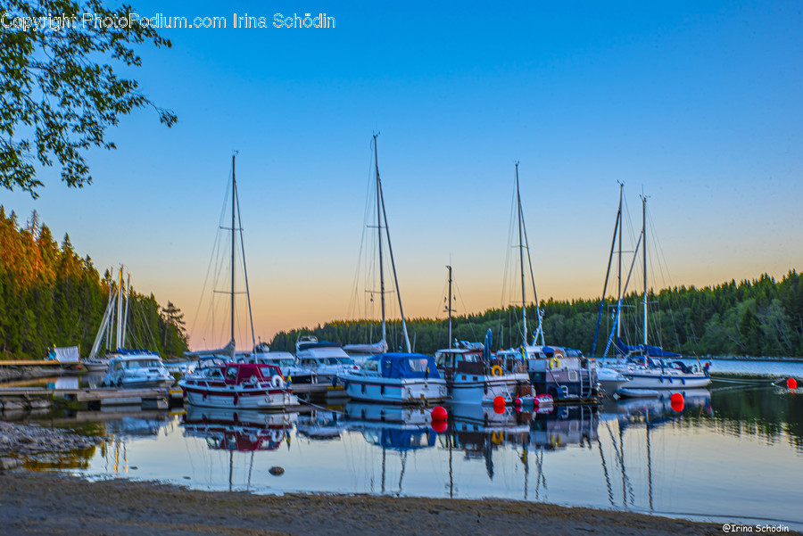 Water, Marina, Waterfront, Vehicle, Transportation