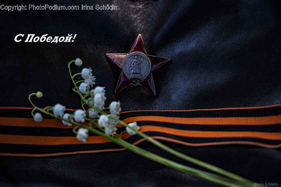 Symbol, Star Symbol, Trademark, Logo, Emblem