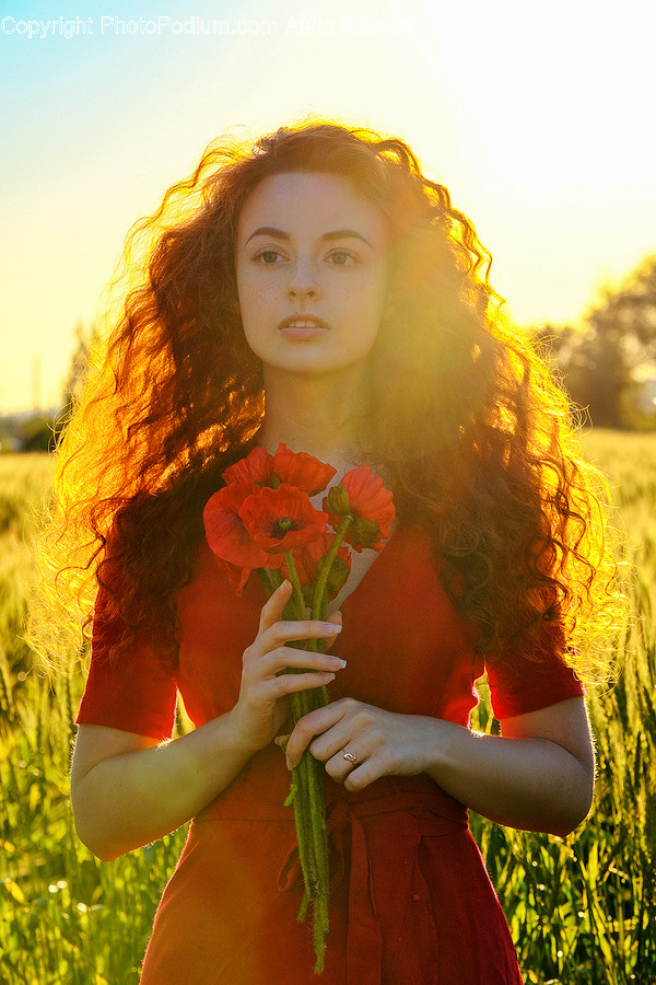 Plant, Human, Person, Flower, Flower Bouquet