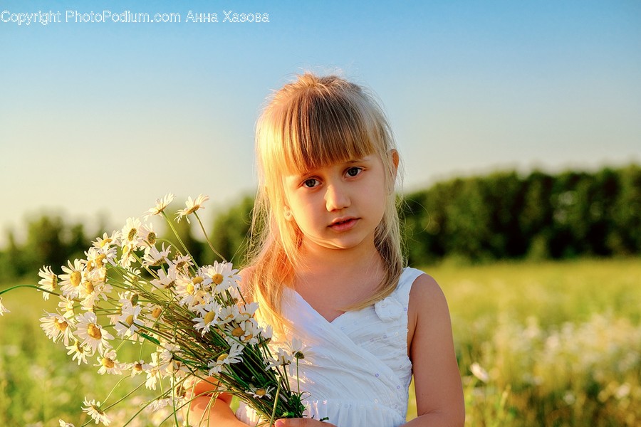 Plant, Human, Person, Blossom, Flower
