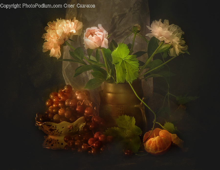 Plant, Flower, Blossom, Flower Arrangement, Painting