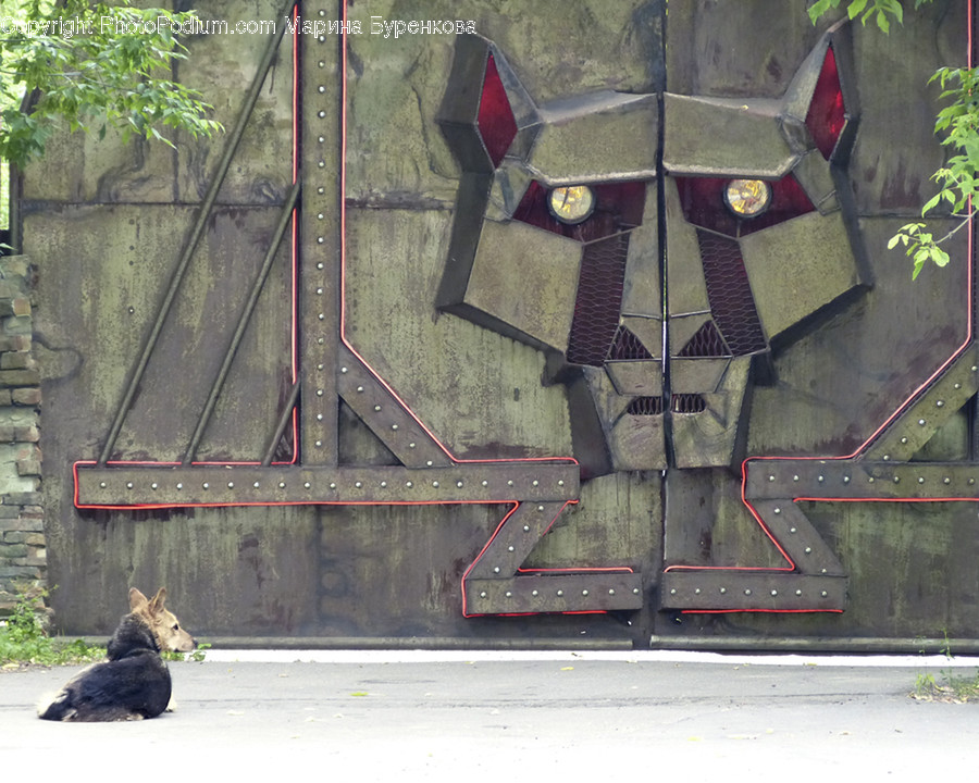 Mammal, Cat, Pet, Animal, Wall