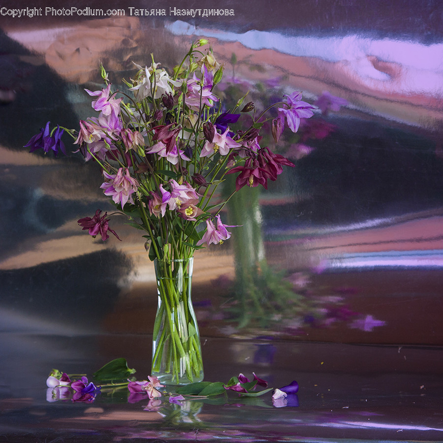 Plant, Blossom, Flower, Flower Arrangement, Flower Bouquet