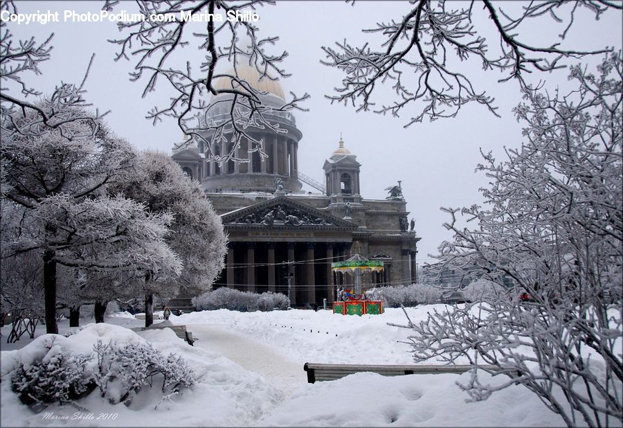Ice, Outdoors, Snow, Blizzard, Weather, Winter, Blossom